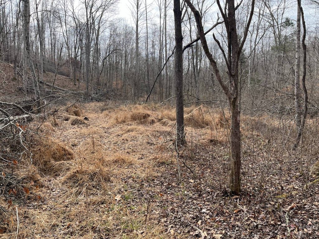Picture 23