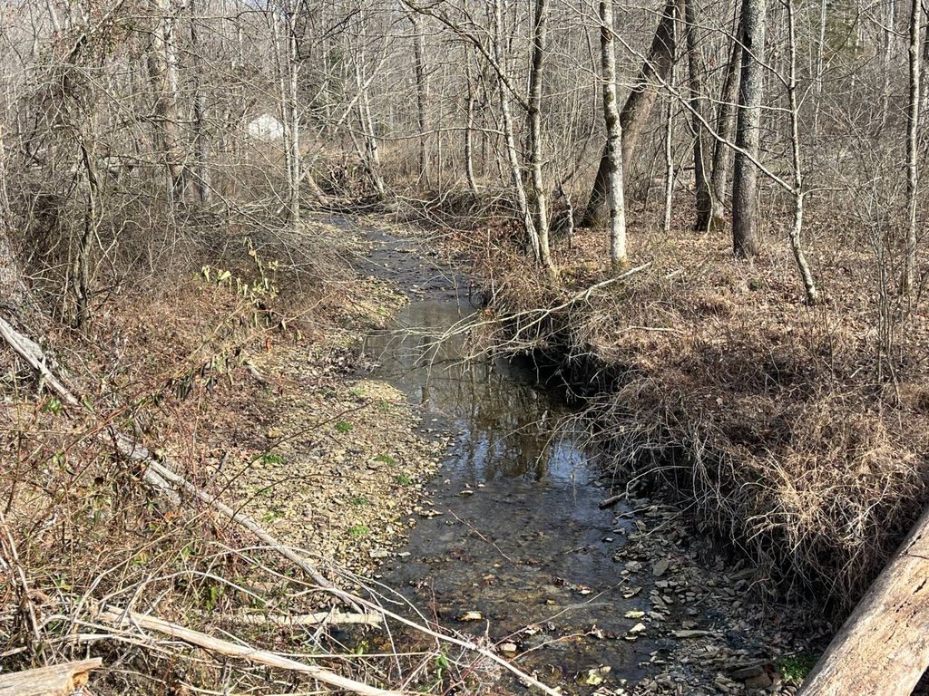 Picture 30