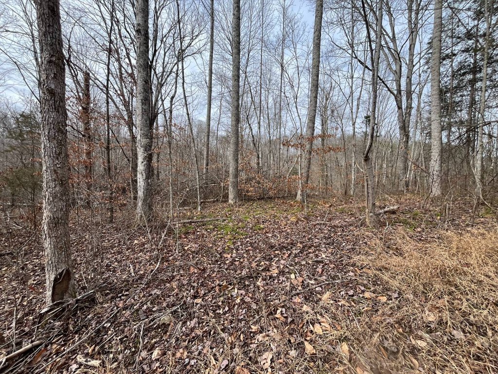 Picture 19