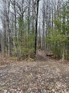 Wooded Waterfront Community Lot