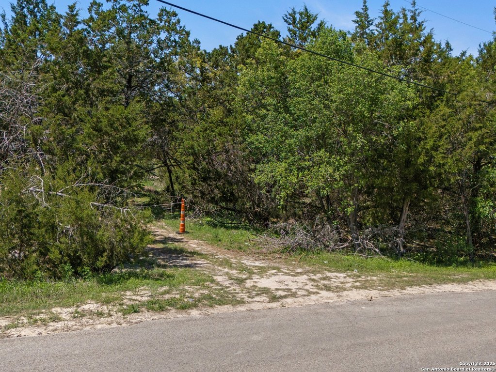 Picture 6