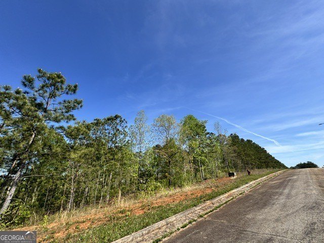 Picture 7
