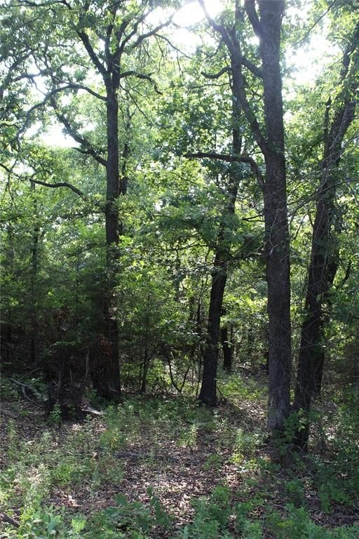 Picture 2