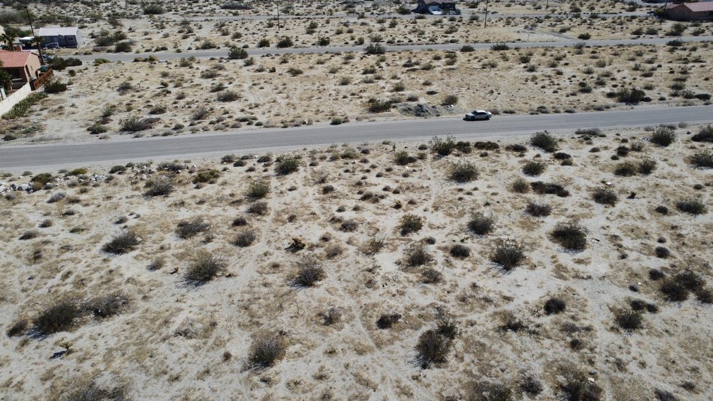 Picture 11