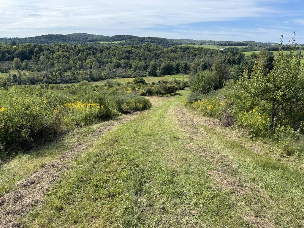 Picture 21