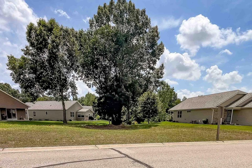 Picture 13