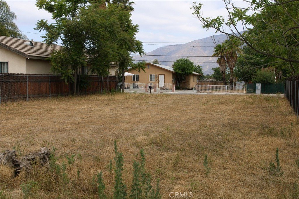 Picture 10