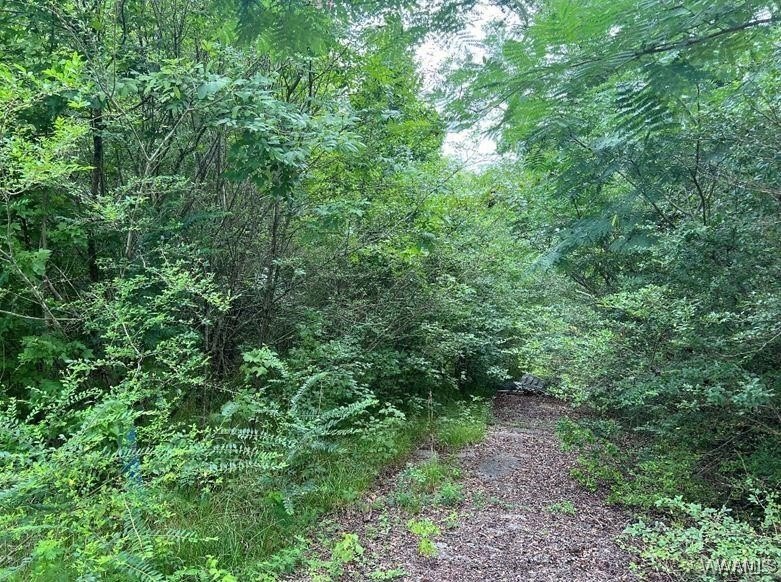 Residential Land in Vance, AL