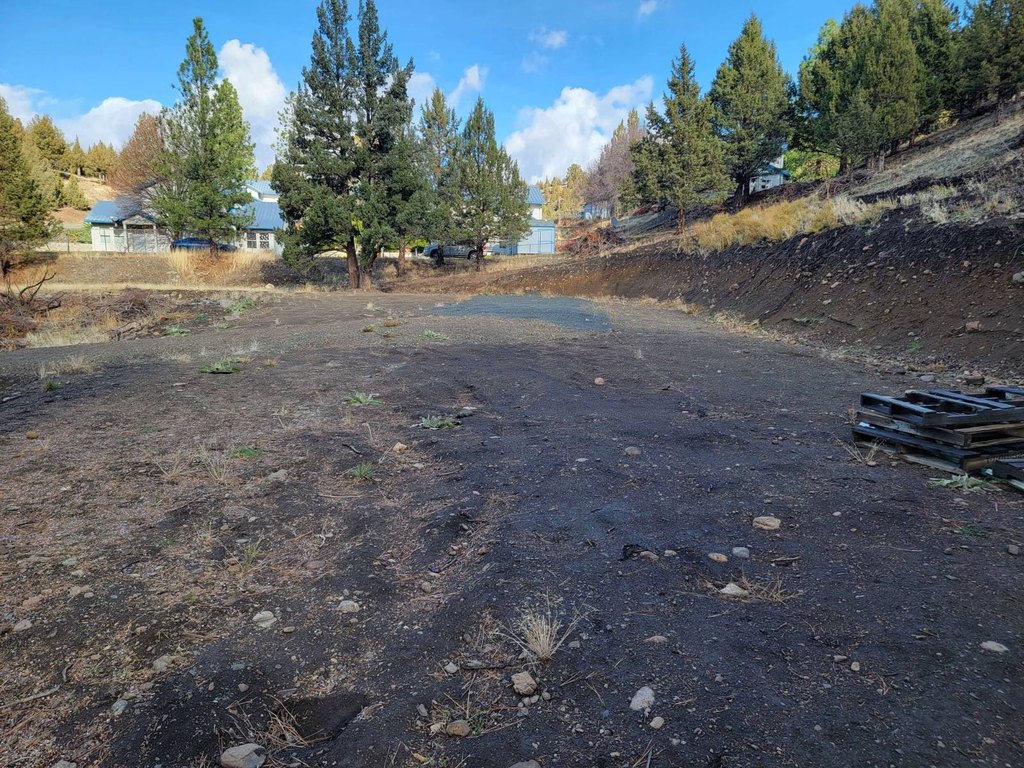 Picture 13