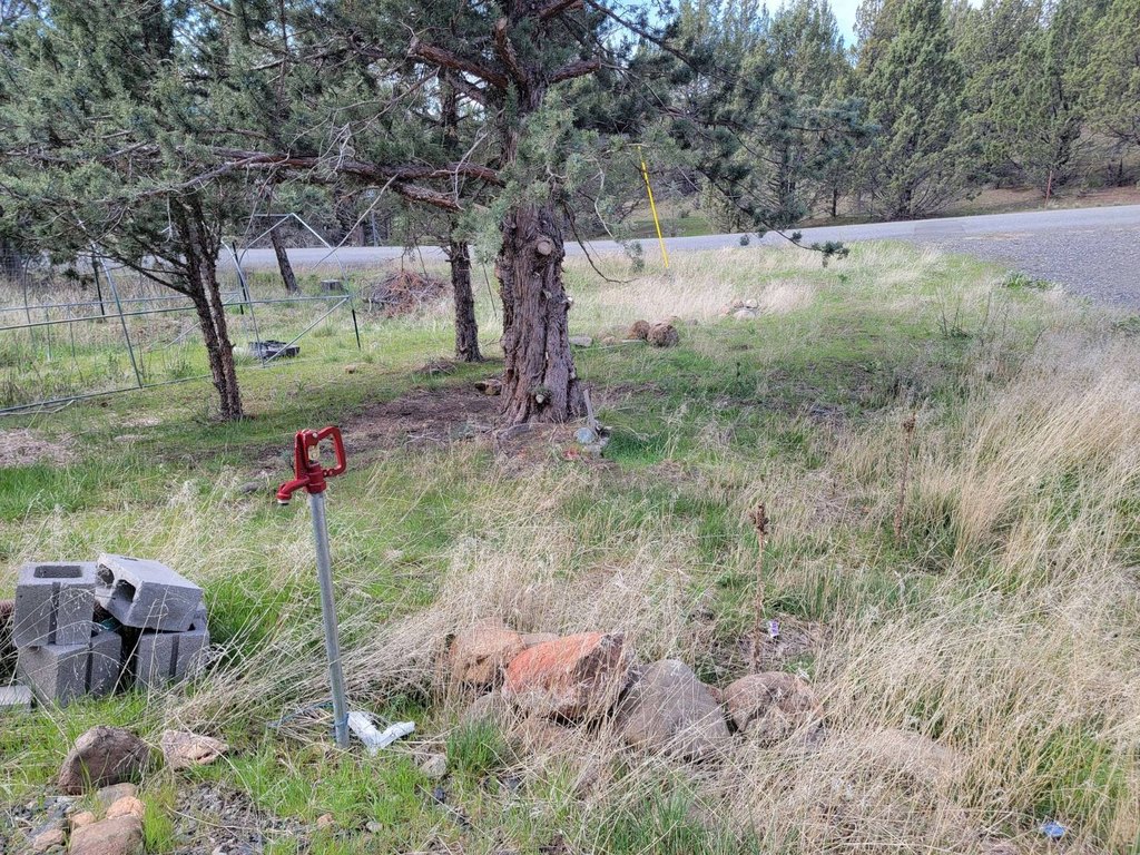 Picture 23