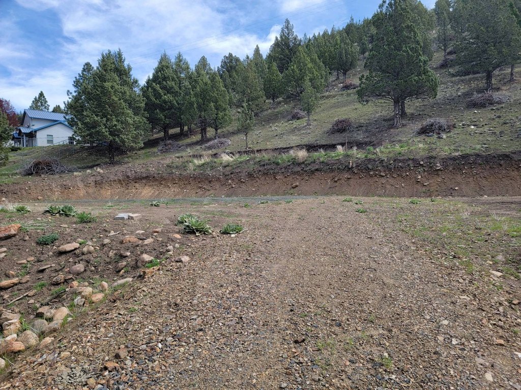 Picture 15