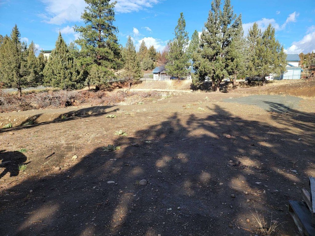 Picture 21