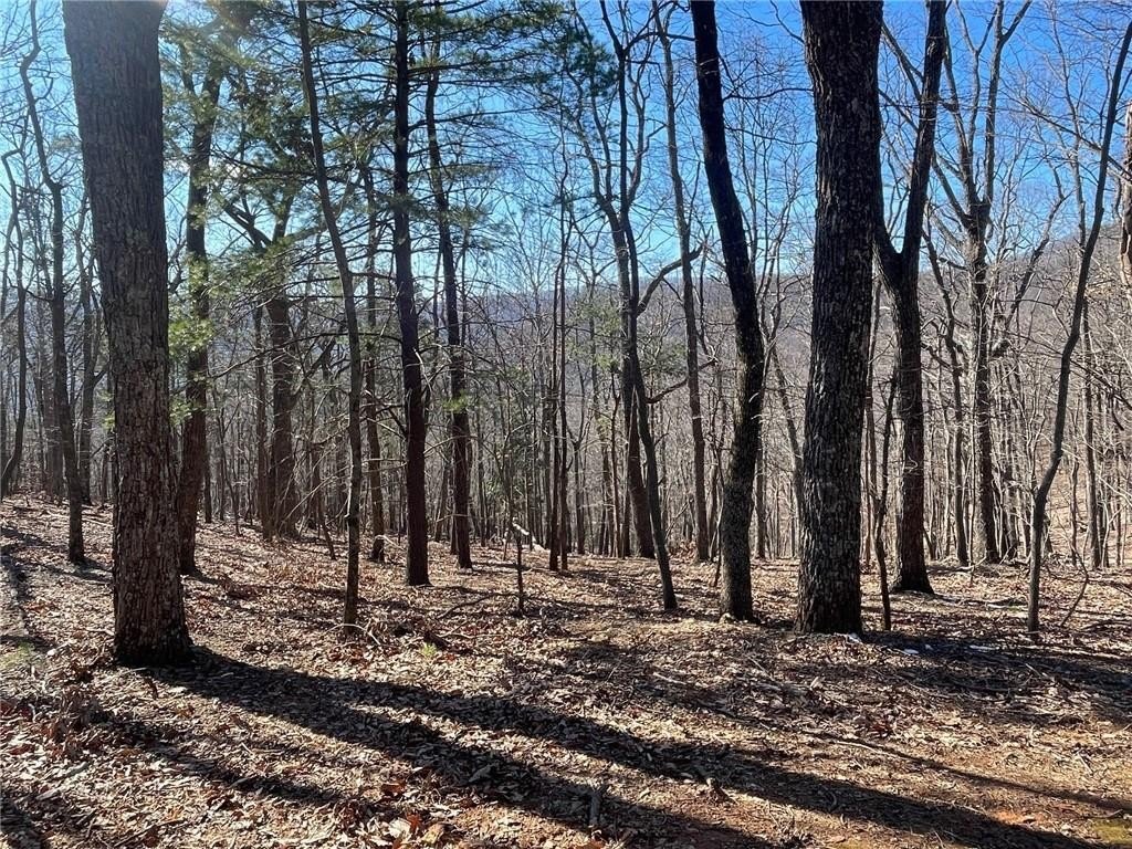 Residential Land with Mountain View