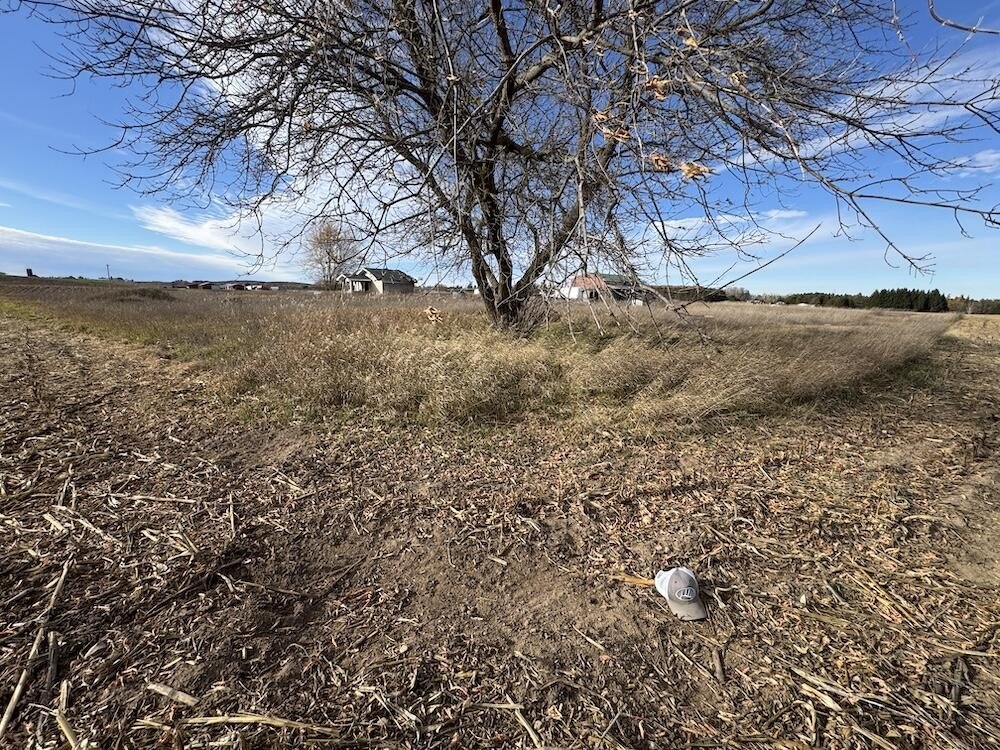 Picture 21