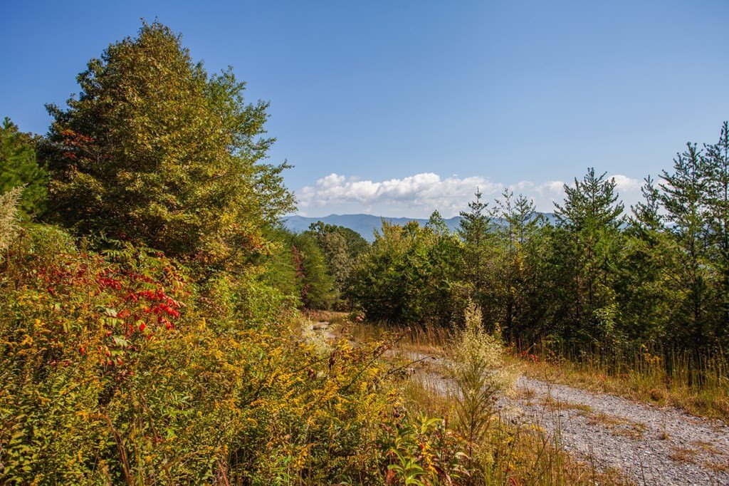 Picture 28