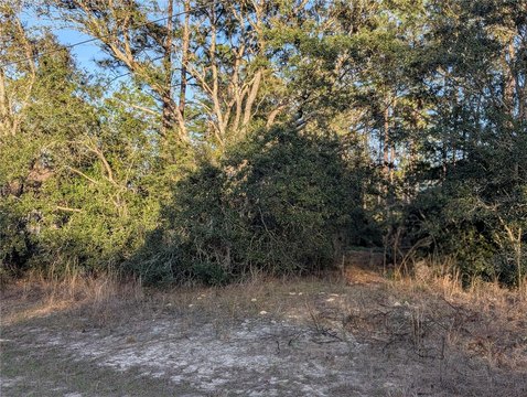 LAND - CITRUS SPRINGS, FL