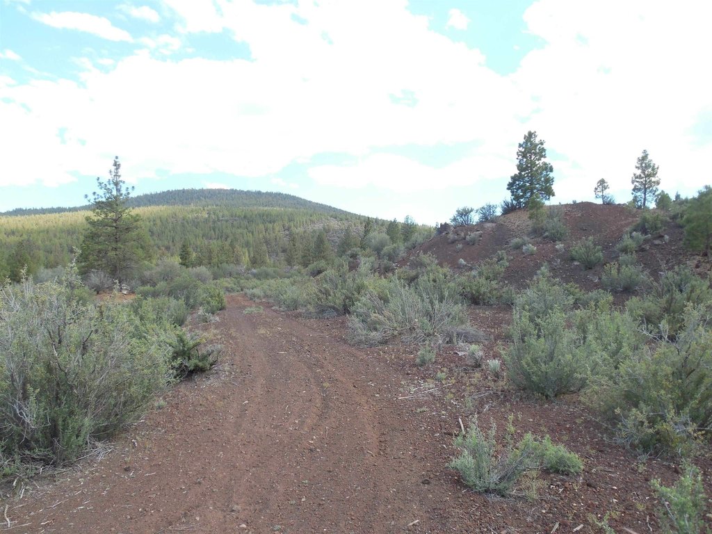 Picture 7
