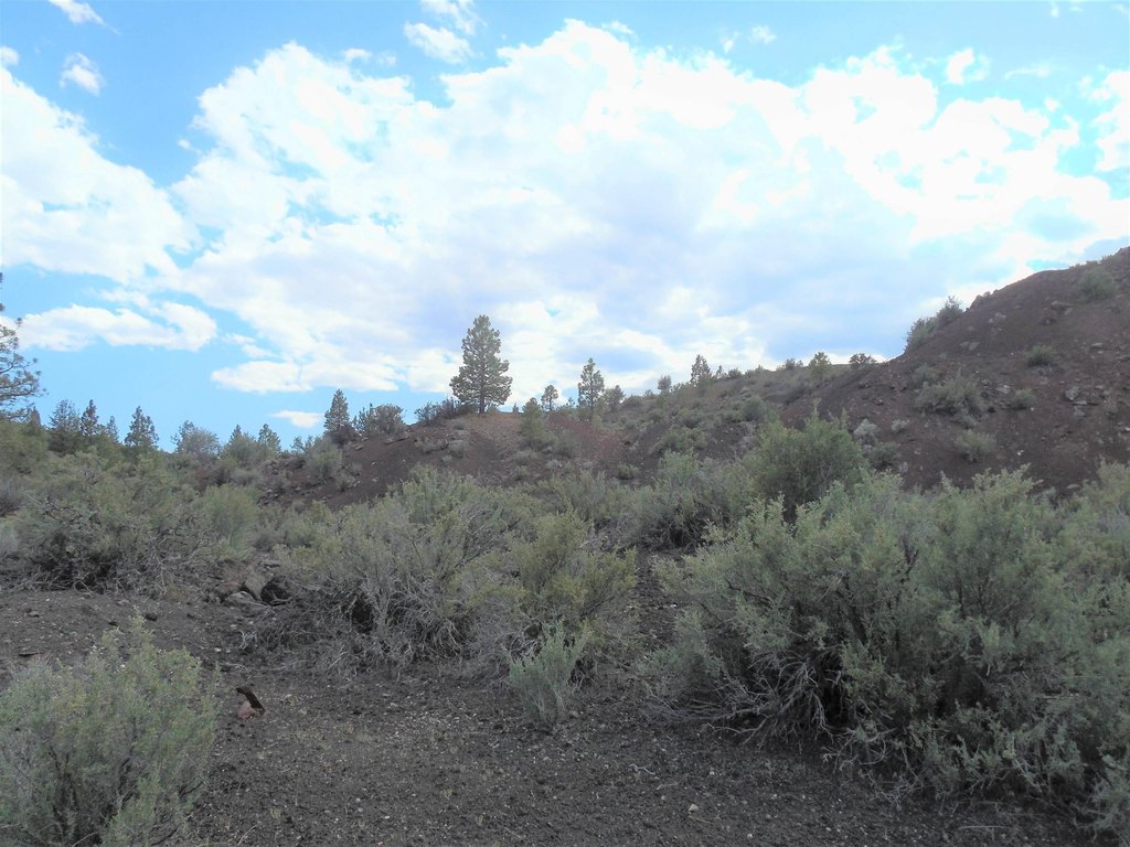 Picture 24