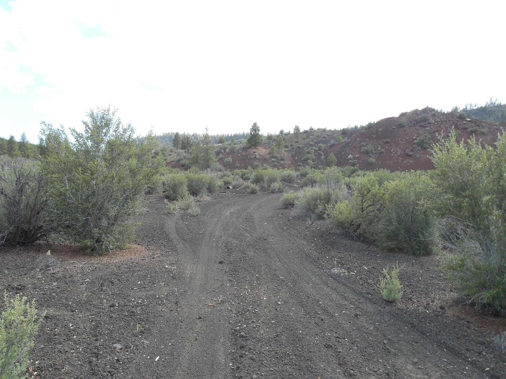 Picture 3