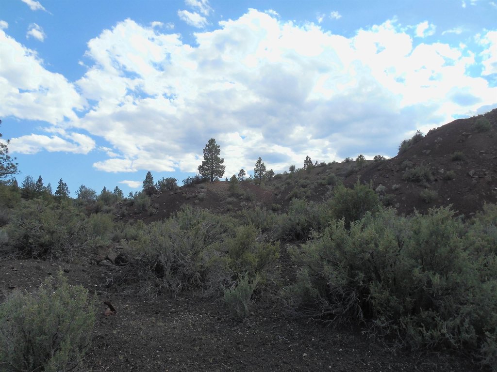 Picture 26