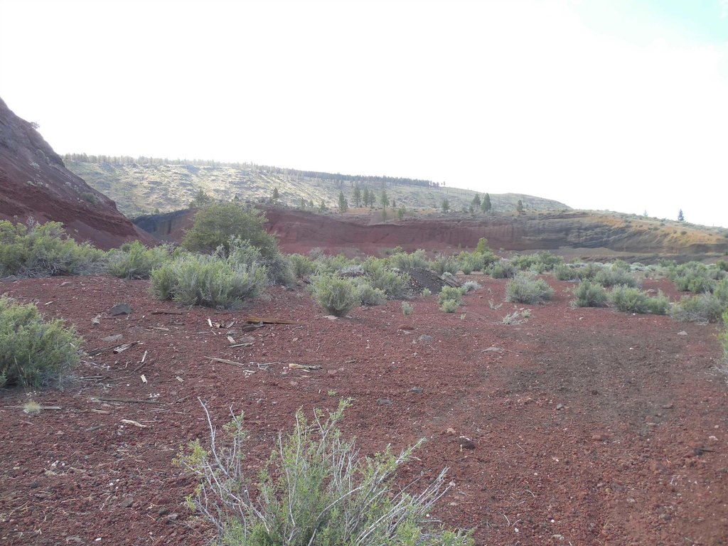 Picture 17