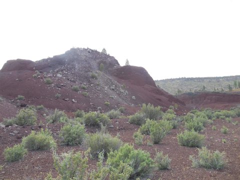 81.56 Acres in Siskiyou County