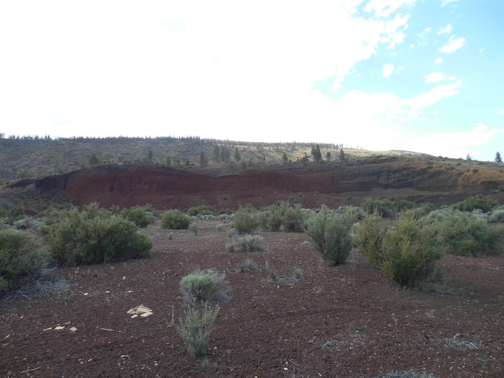 Picture 19