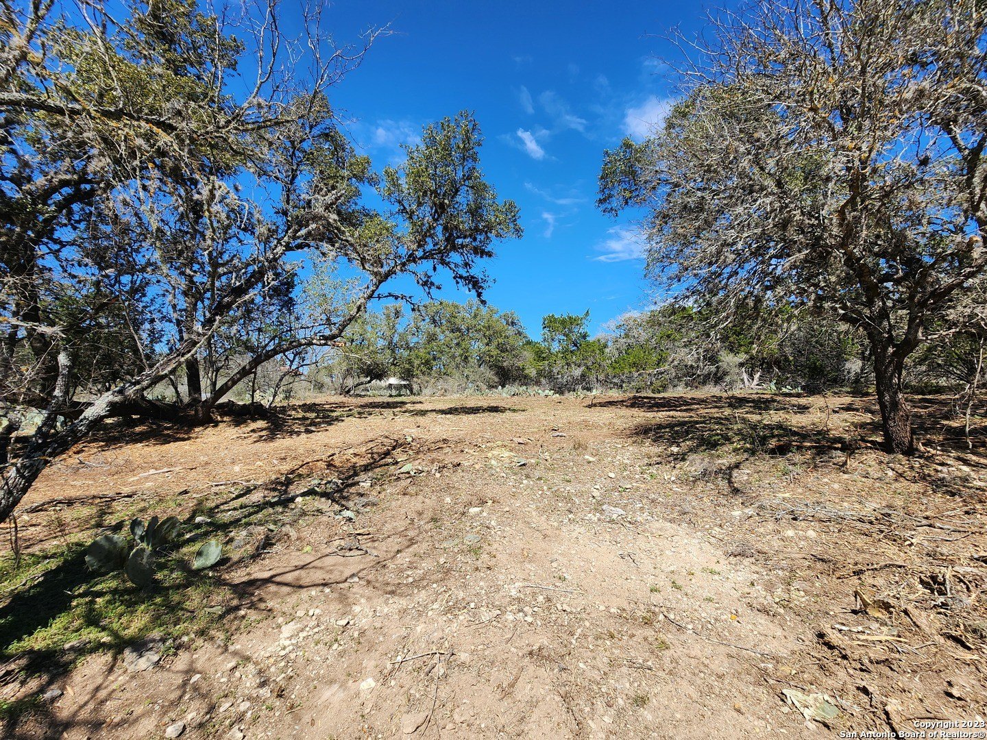 Land Near Medina Lake