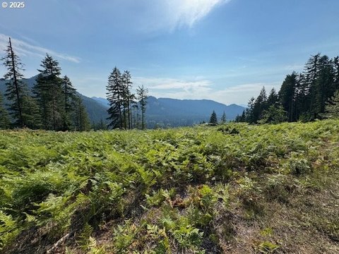 Land, Carson, WA