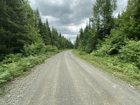 Recreational Woodland with Cabin