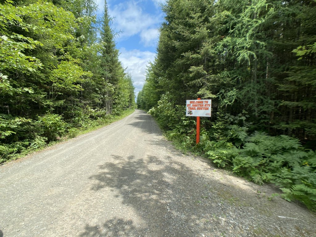 Picture 12