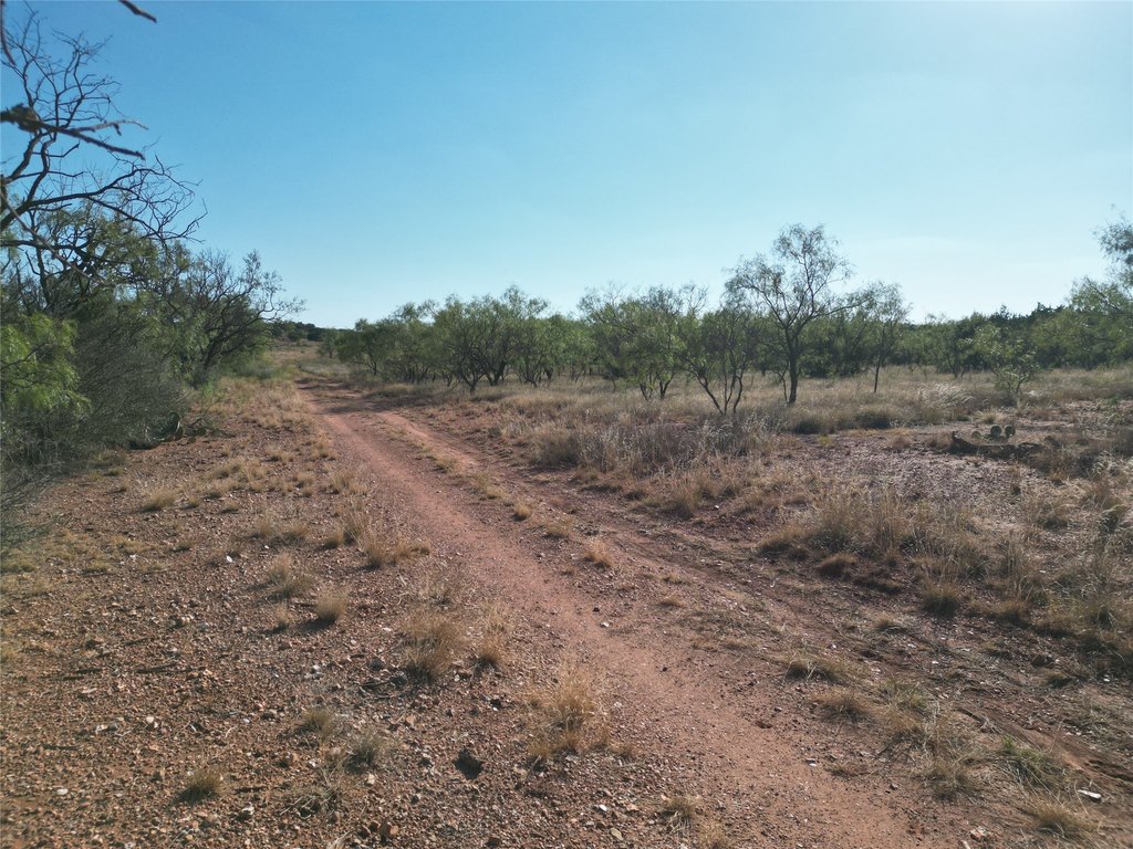 Picture 23