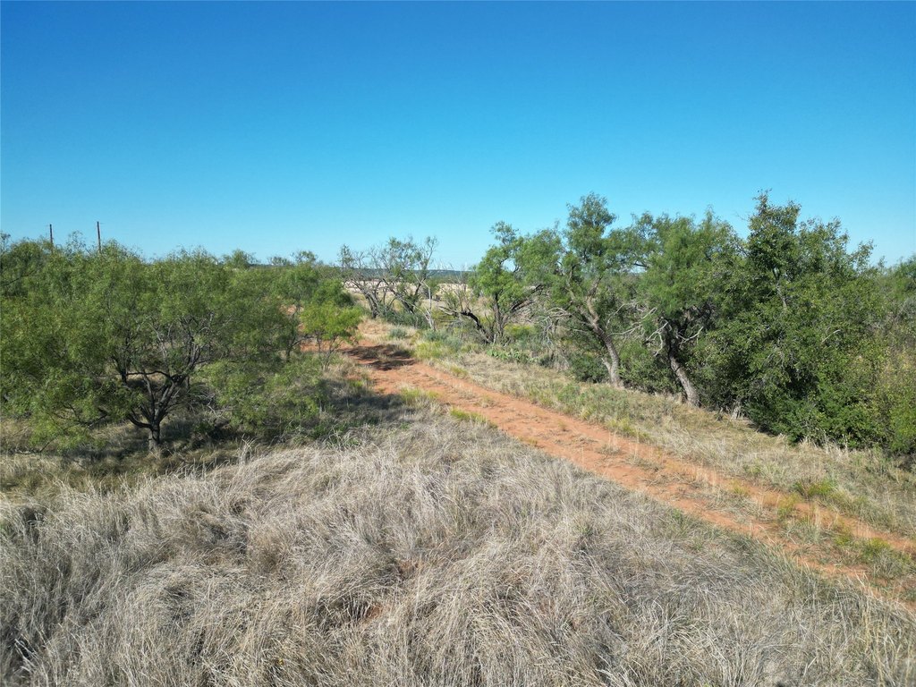 Picture 22