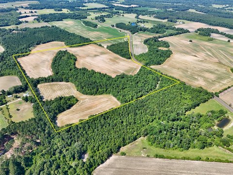 Ashford Farm/Estate with Development Potential