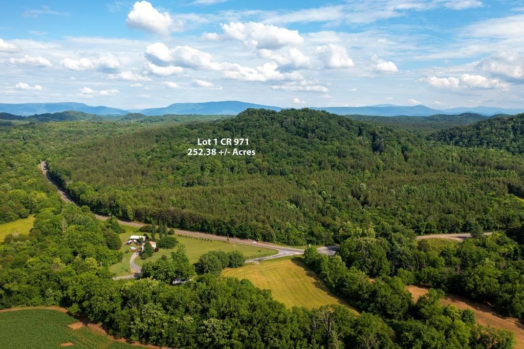 252 Acres Industrial Land Calhoun