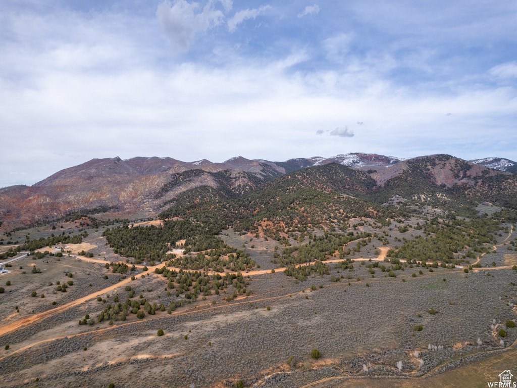 Picture 10