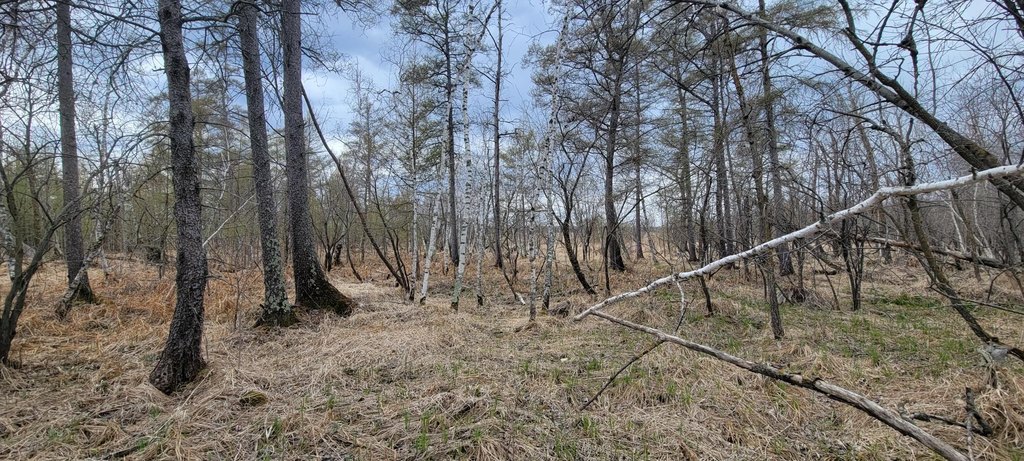 Picture 16