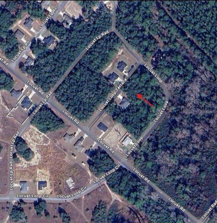 Picture 4
