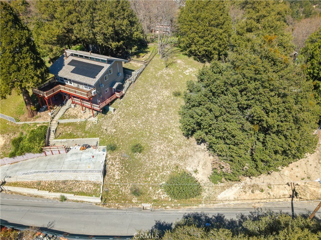 Picture 5