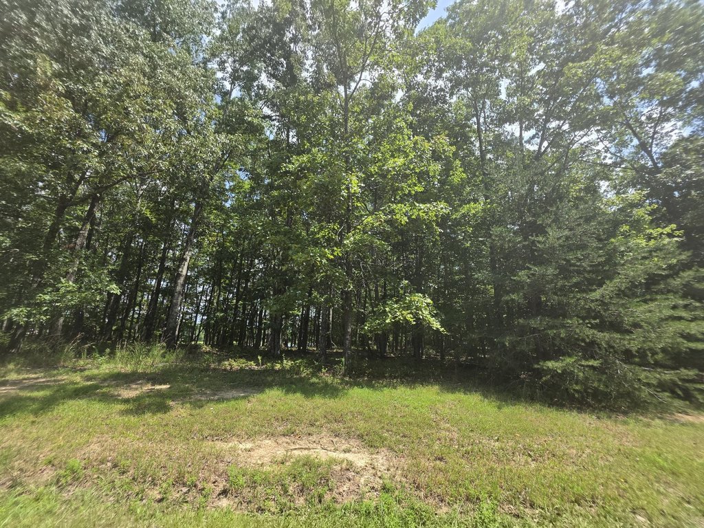 Picture 16