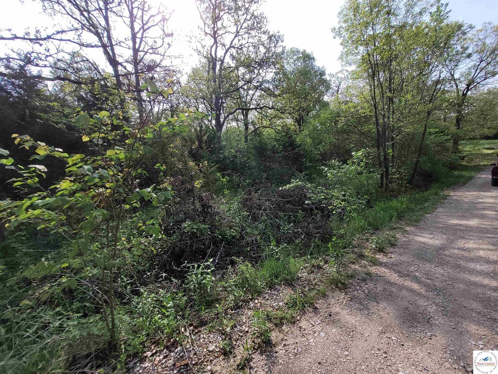 Picture 5
