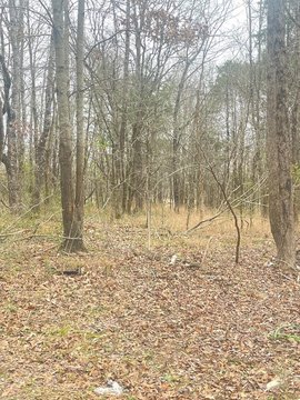 Land, BYHALIA, MS