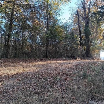 Wooded Acreage Near Parks, Arkansas