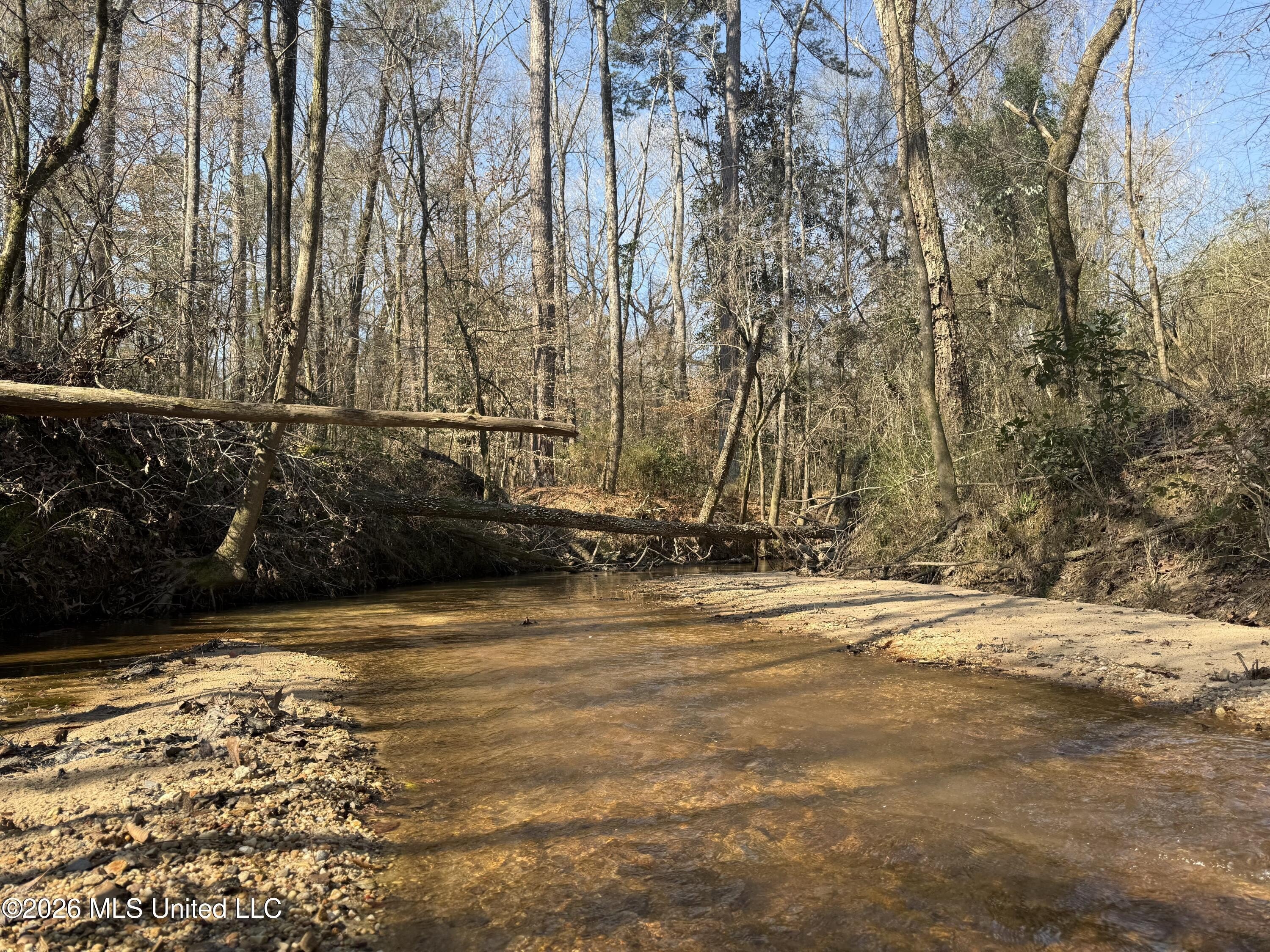 Recreational Land in Simpson County