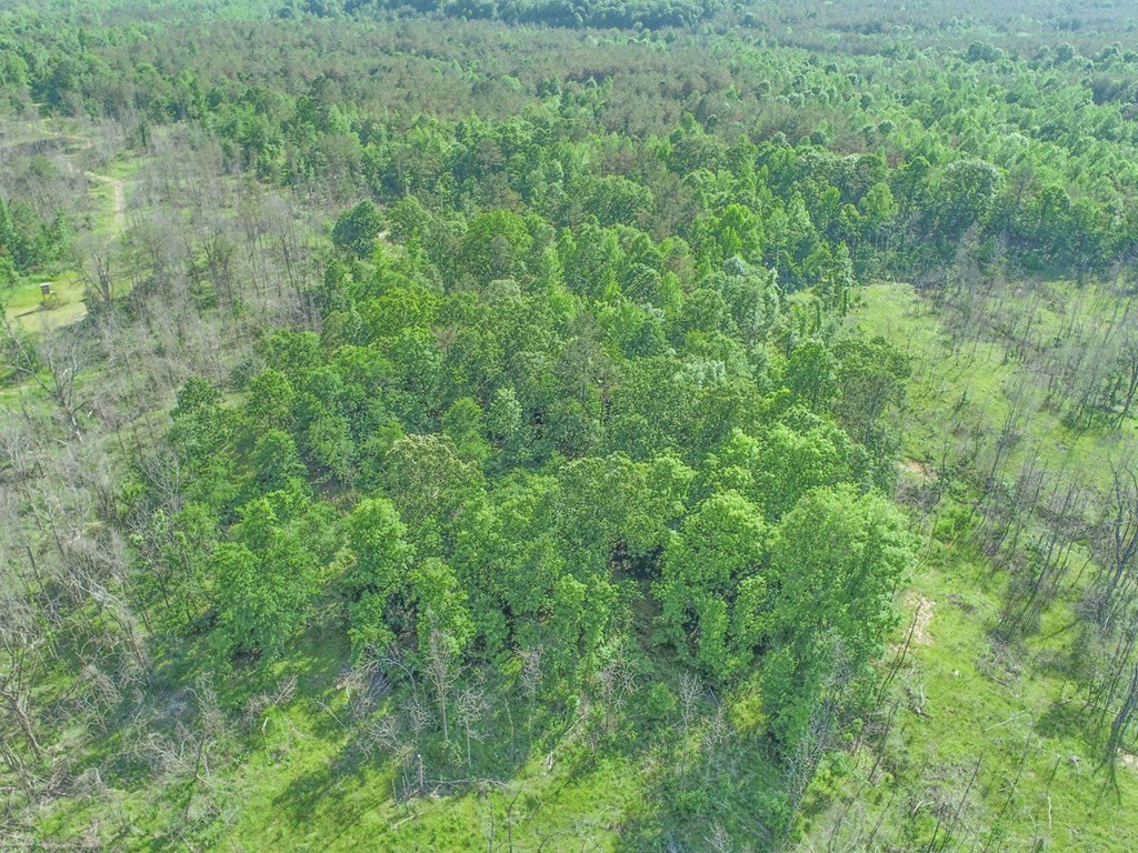 Picture 17
