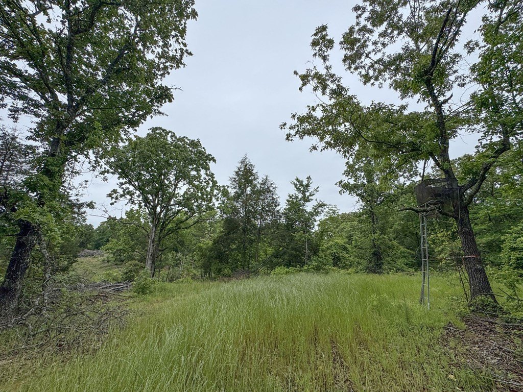 Picture 46