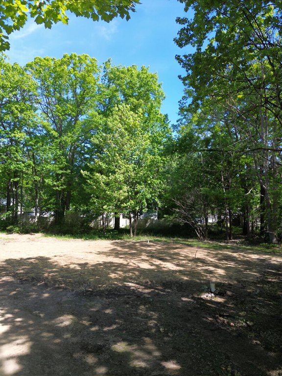 Picture 14