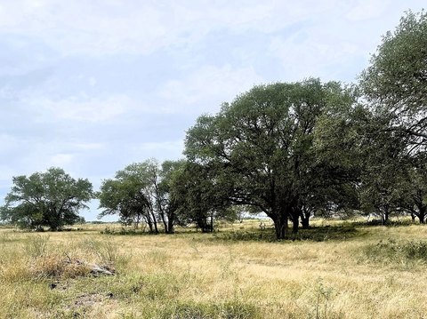 Recreational Hunting and Hobby Farm Land