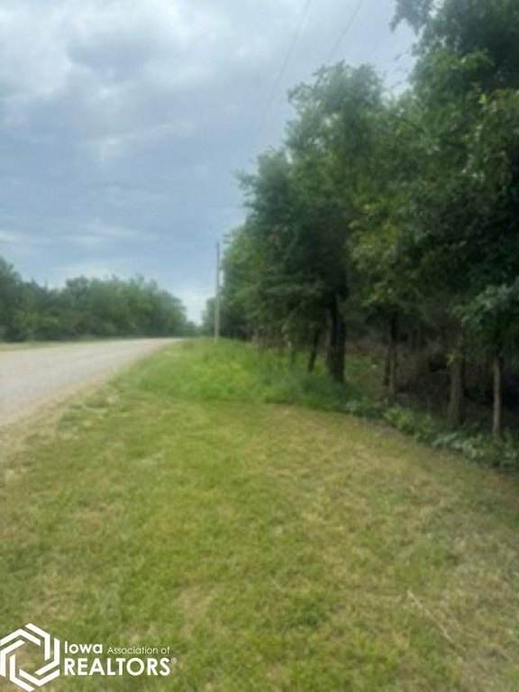 Picture 7