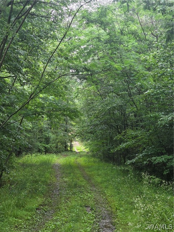 Picture 7
